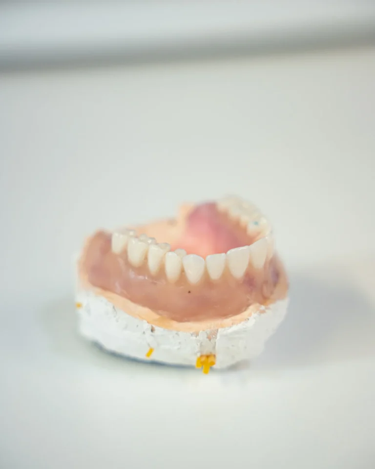 Modelo dental protésico sobre base